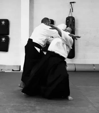 Aikido technique in motion